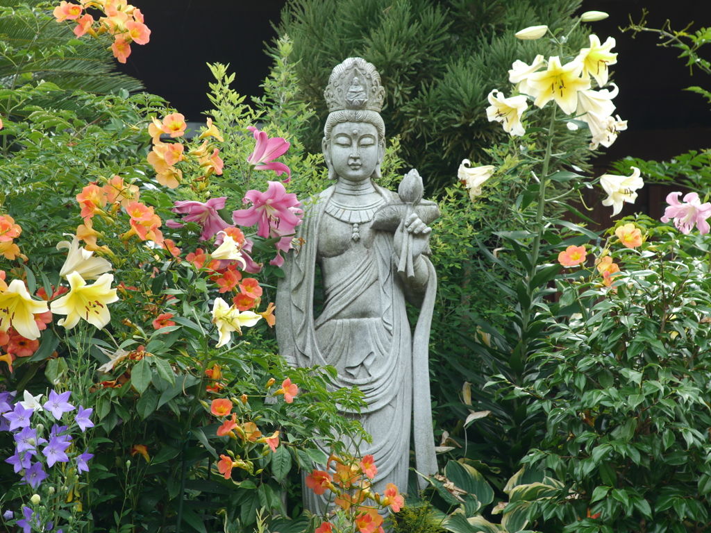 加古川　花の寺円照寺１６