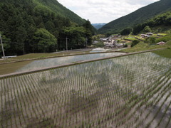 岩座神２　兵庫 加美