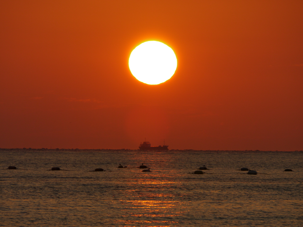 夕日３
