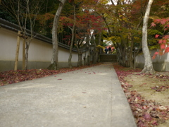 慈眼寺　兵庫三木２