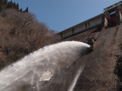 放流 引原ダム 兵庫 波賀１