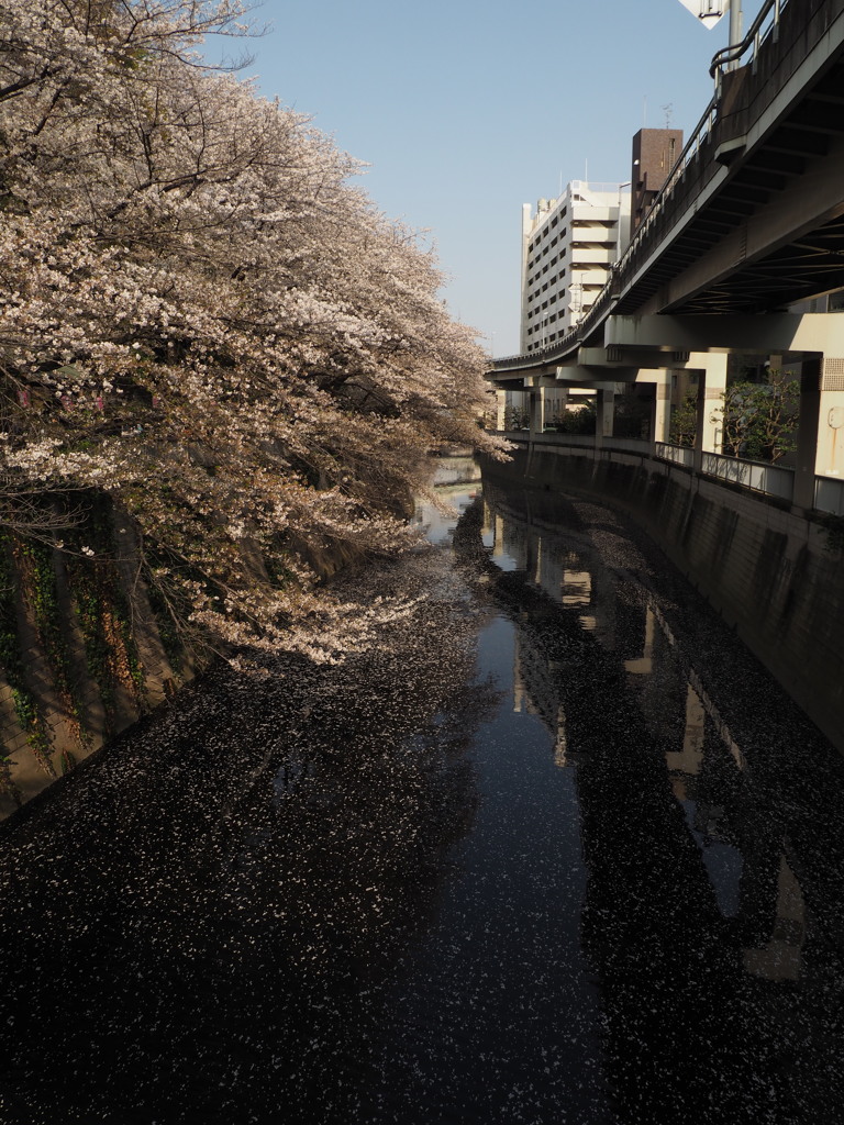 神田川３