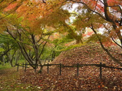 中尾山古墳　明日香