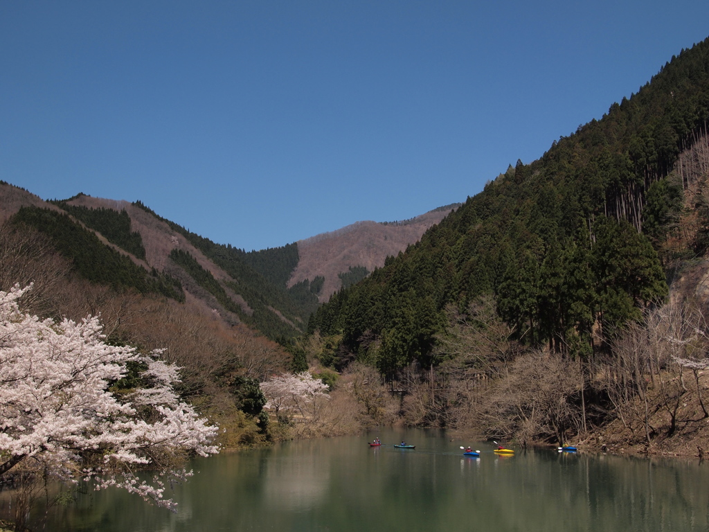 音水湖３ 兵庫 波賀