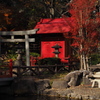 赤 紅　文京区