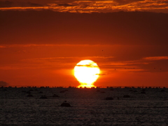 だるま夕日 播磨灘