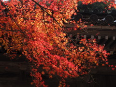 蓮花寺　兵庫 三木