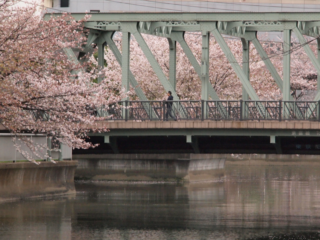 深川界隈の橋　東富橋１