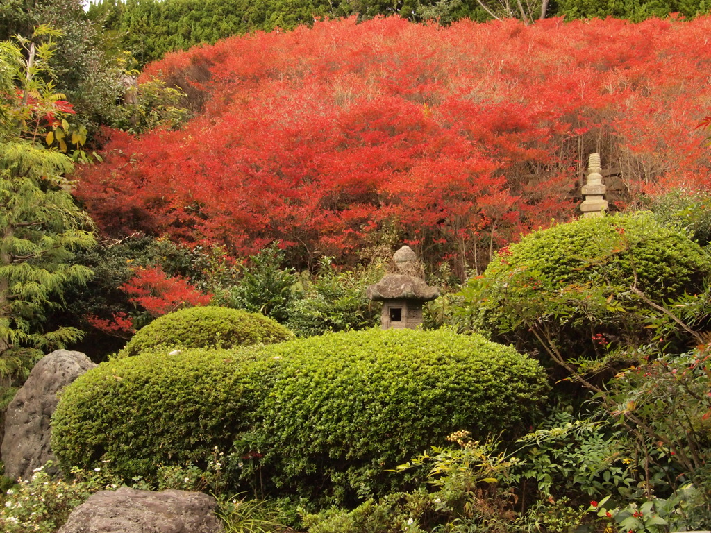 永昌寺 加古川５