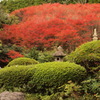 永昌寺 加古川５