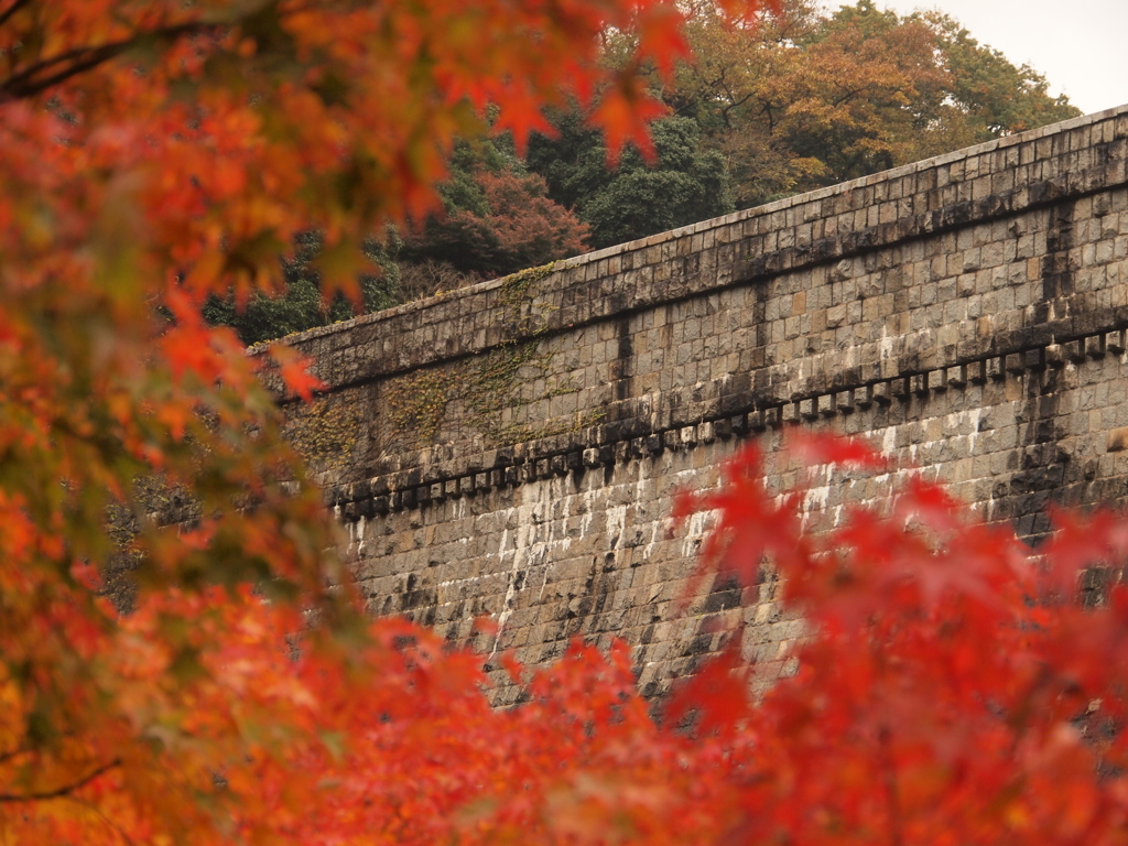 布引五本松堰堤