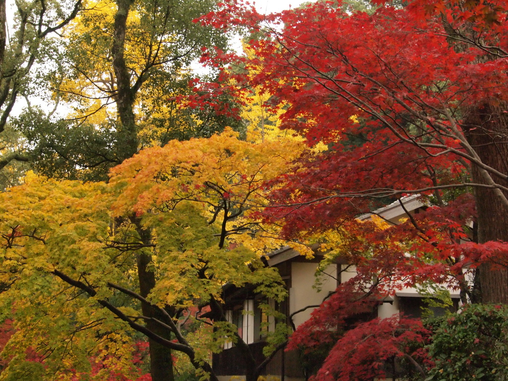 徳光院 布引１