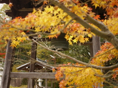 里の秋 常楽寺 加古川