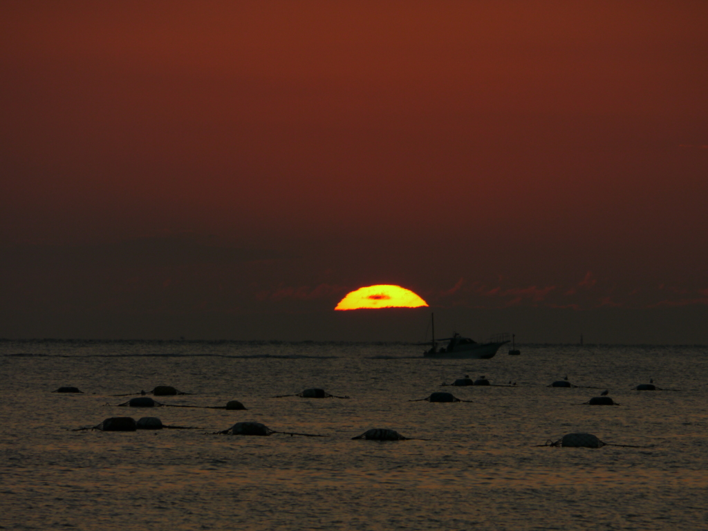 夕日６