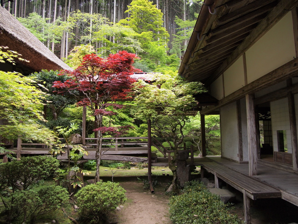 慧日寺３　兵庫 山南