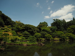 都心のビル影なし　古河庭園 （でも、よ～く見ると・・・）