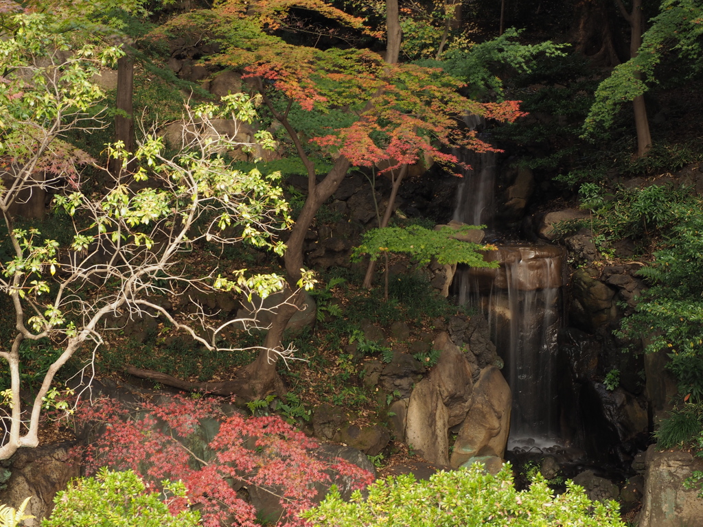 旧古河庭園３