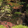 旧古河庭園３