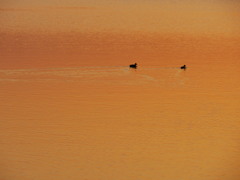 夕景５