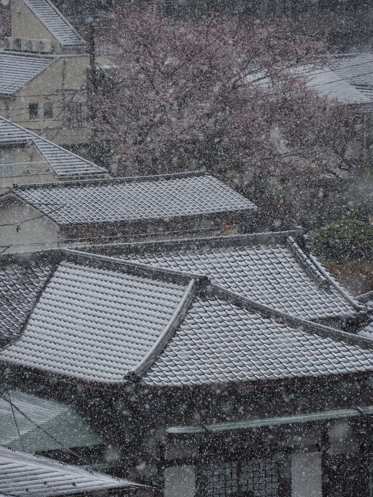 雪の日１
