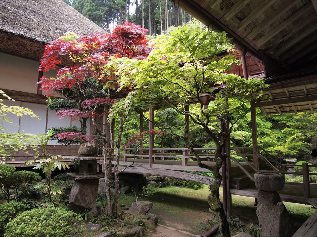 慧日寺４　兵庫 山南