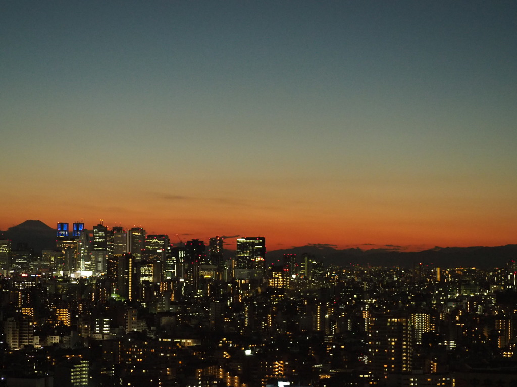 富士山　新宿