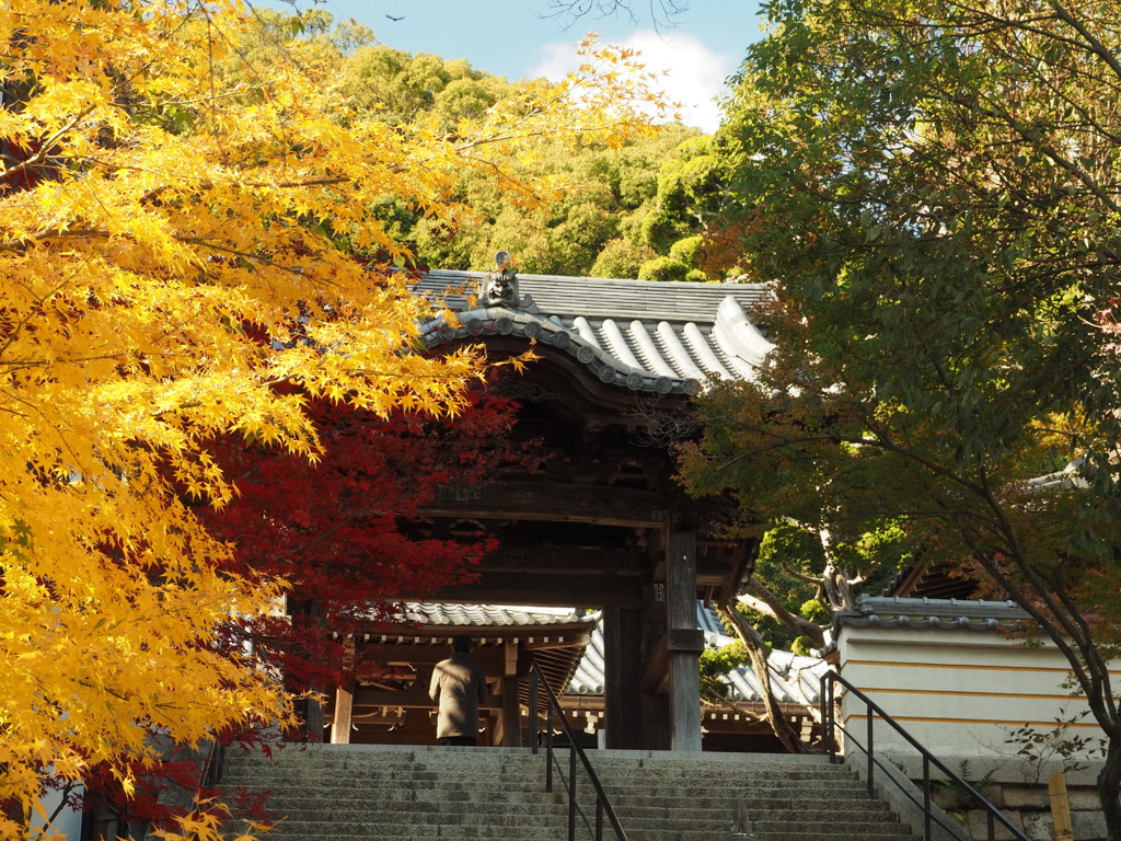 須磨寺４　神戸