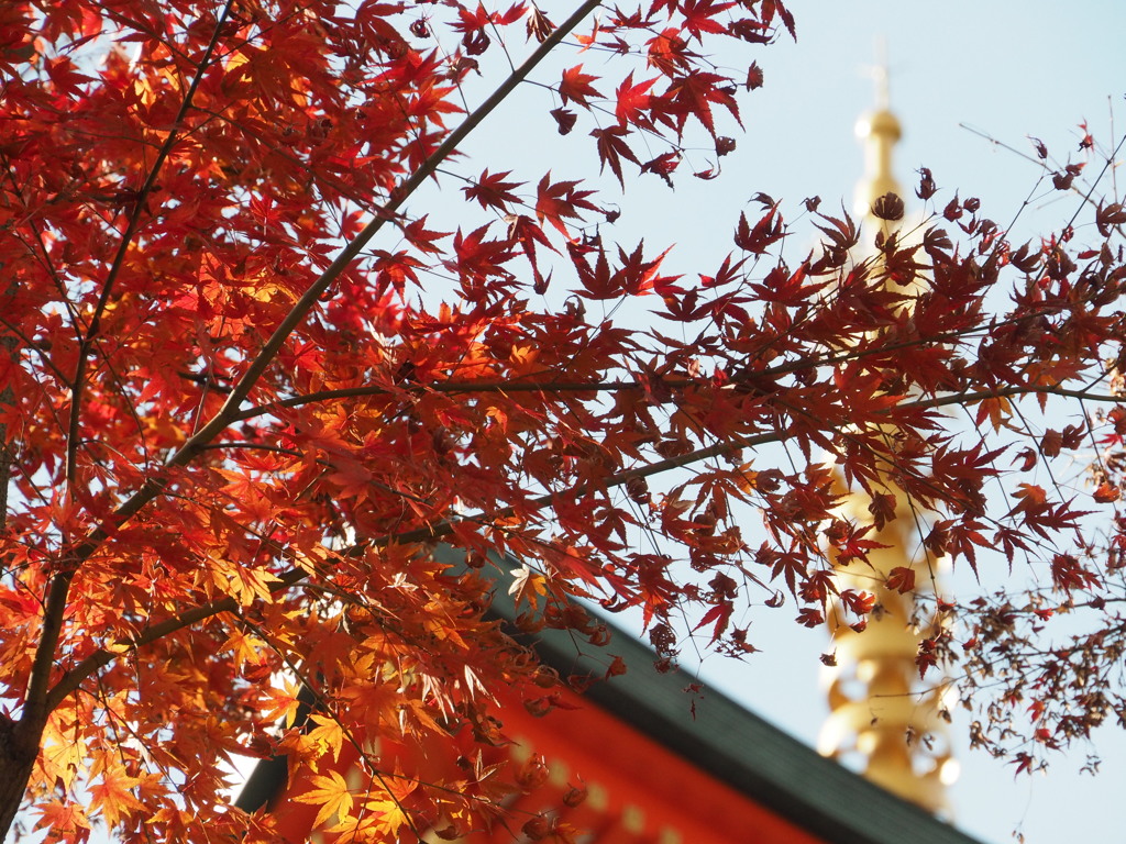 須磨寺１　神戸