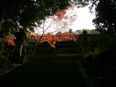 蓮花寺　兵庫三木２