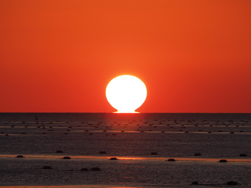 ダルマ夕日 雲がなさすぎ　播磨灘　20190113