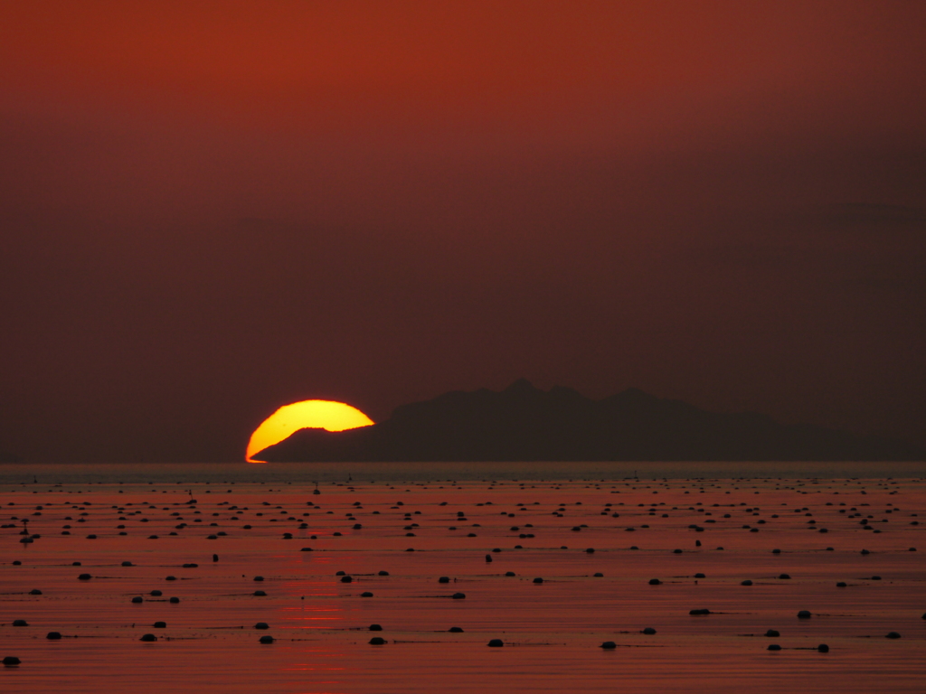夕日