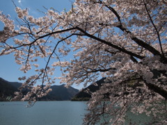 音水湖１ 兵庫 波賀