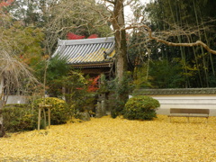 じゅうたん 慈眼寺 三木