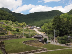 岩座神３　兵庫 加美