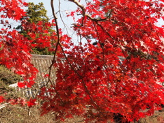 里の秋 石峯寺 神戸淡河