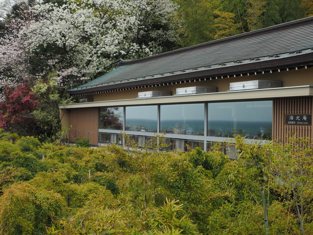 海と桜