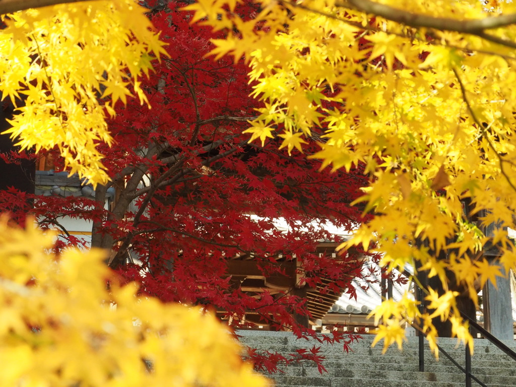 須磨寺３　神戸