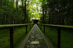 こども目線