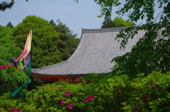 醍醐寺
