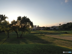 川辺の夕景