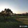 川辺の夕景