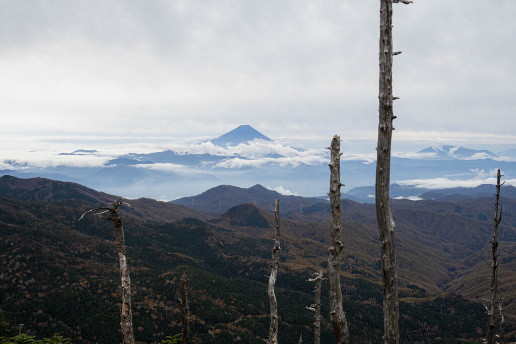 富士山