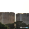 川辺の夕景