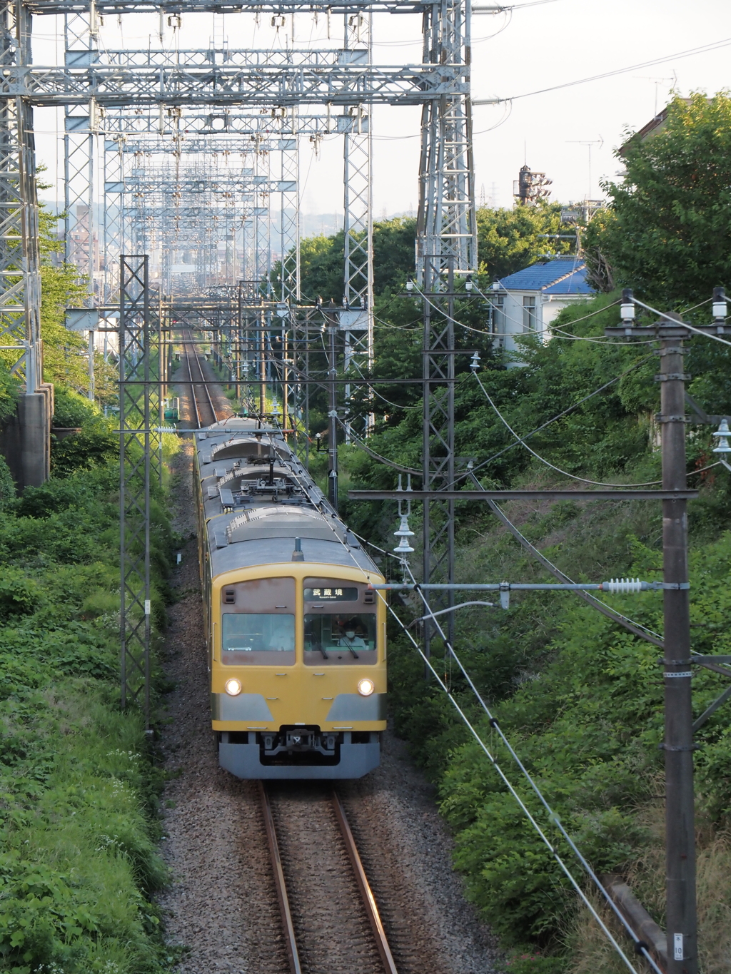 電車