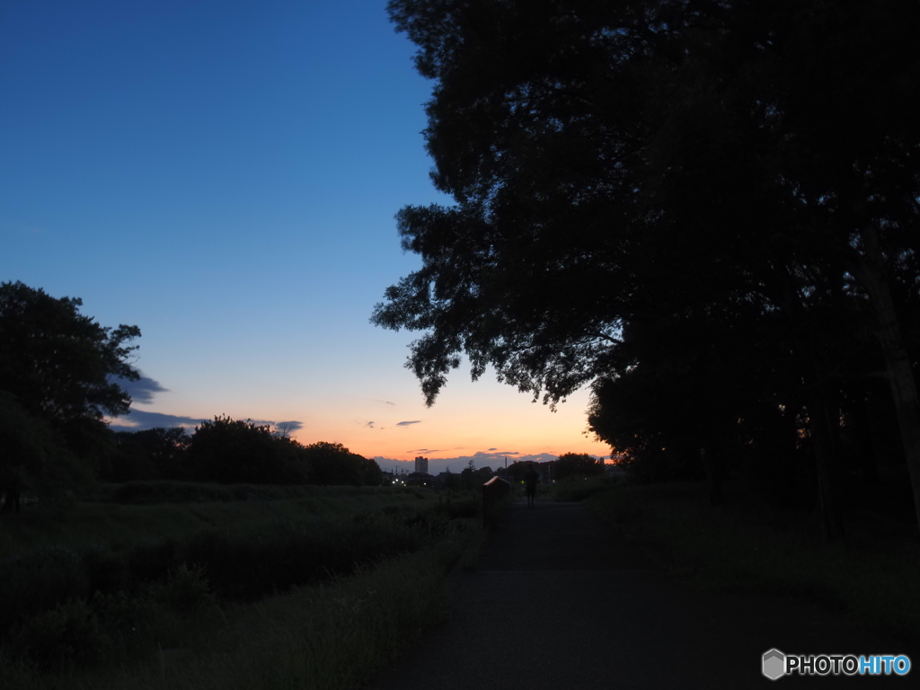 川辺の夕景