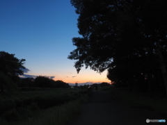 川辺の夕景