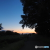 川辺の夕景