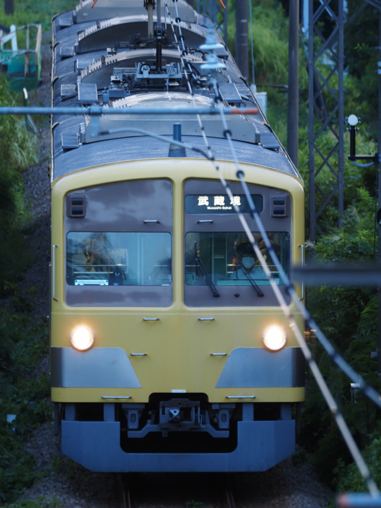電車