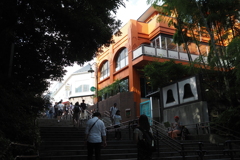 公園の出口の階段