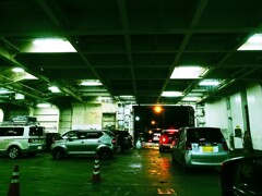 夜、陸に降りる